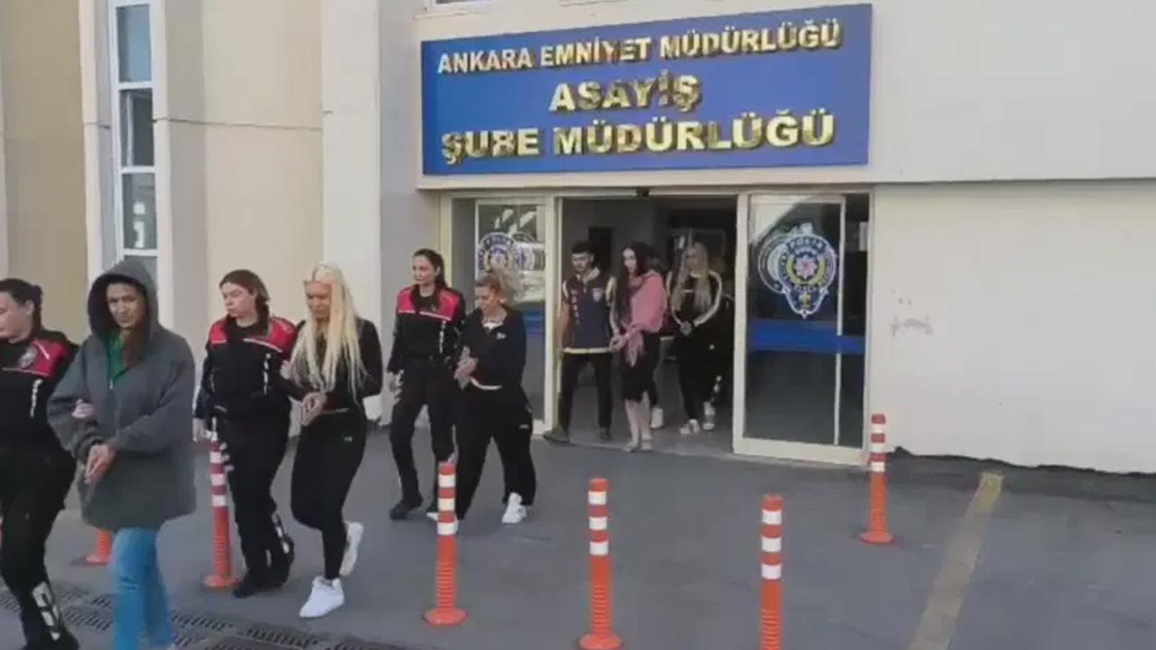 mus.jpg