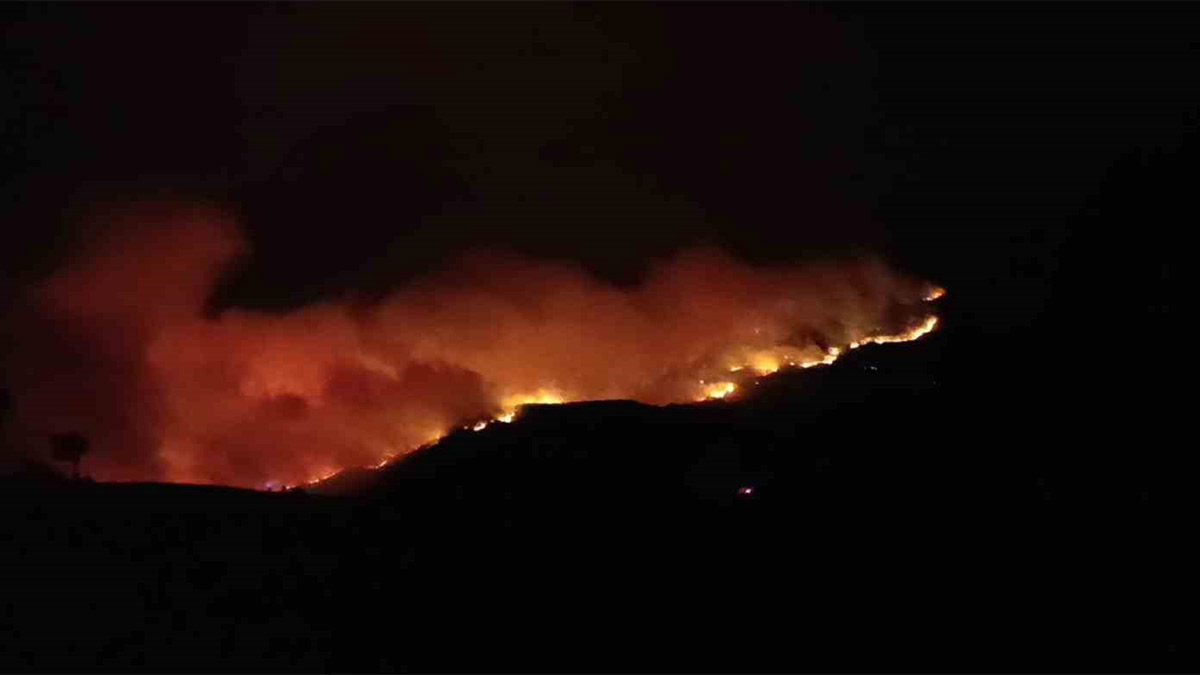 abasliksiz-3.jpg