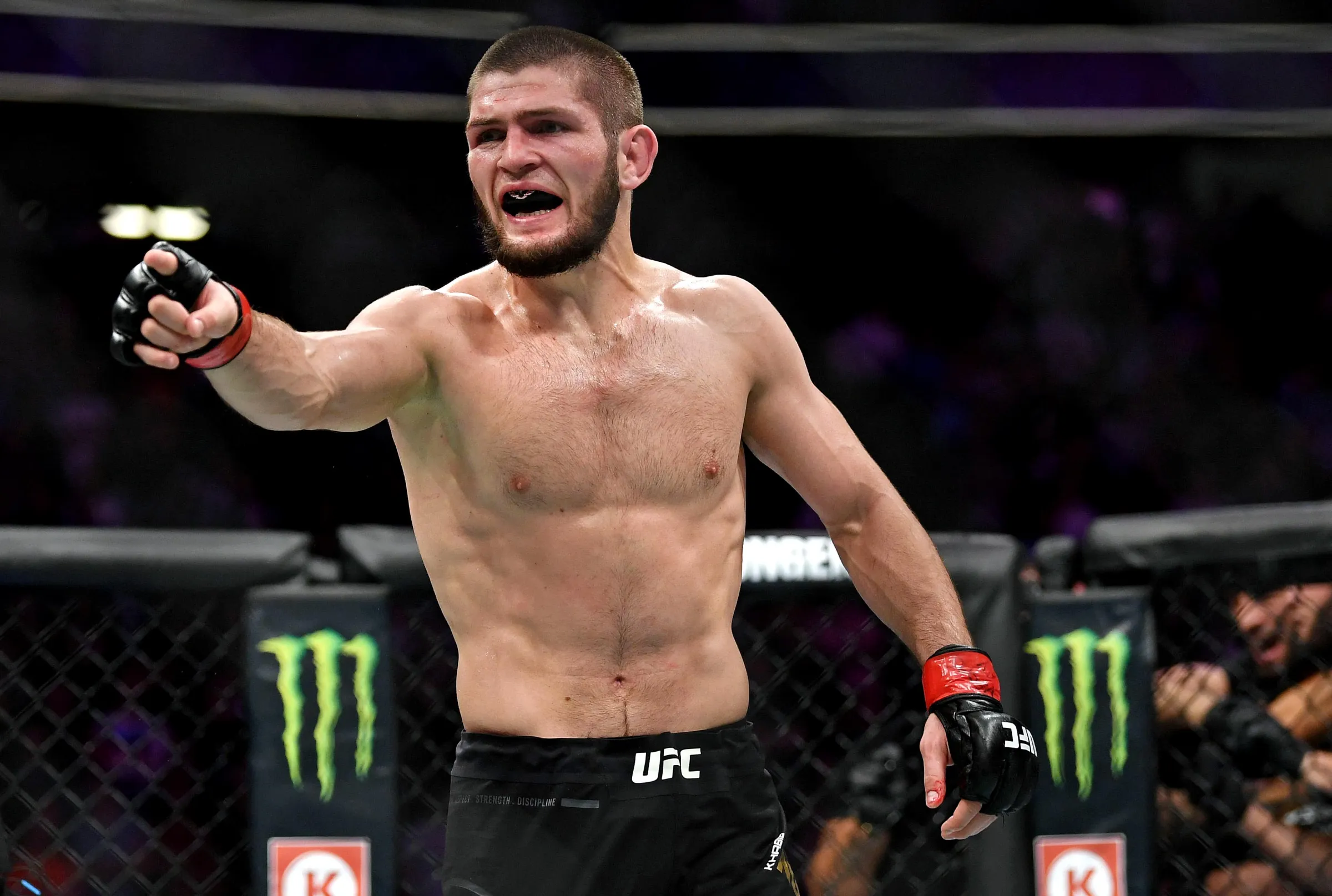khabib.webp