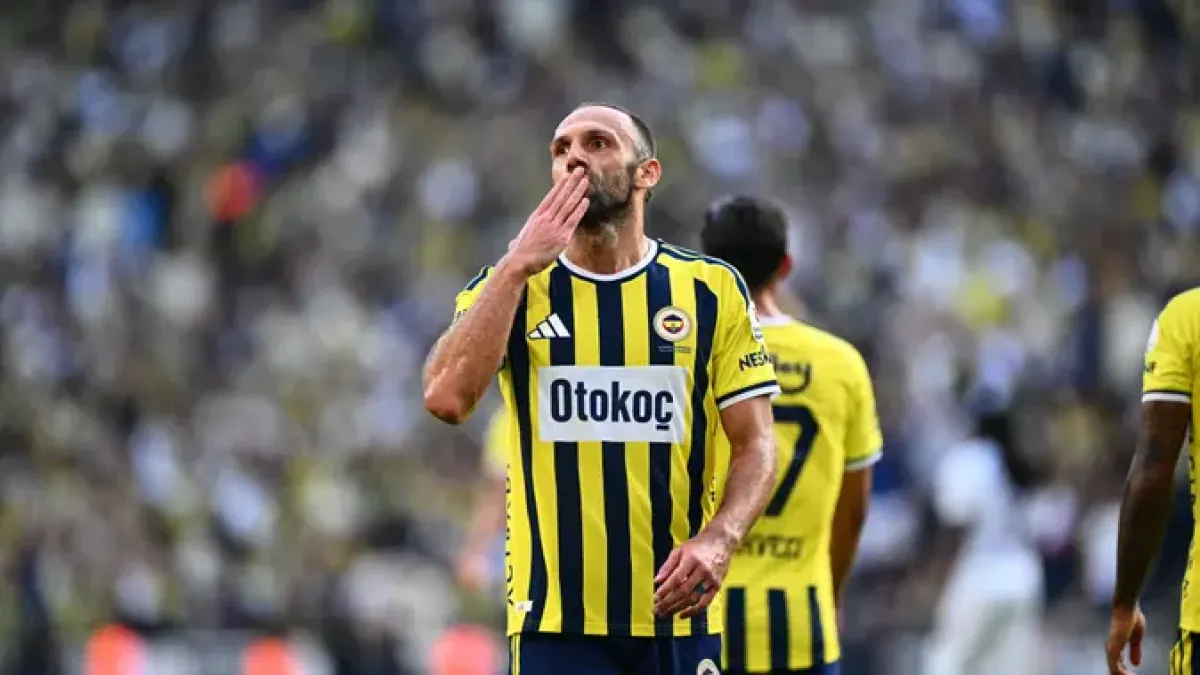 vedat.webp