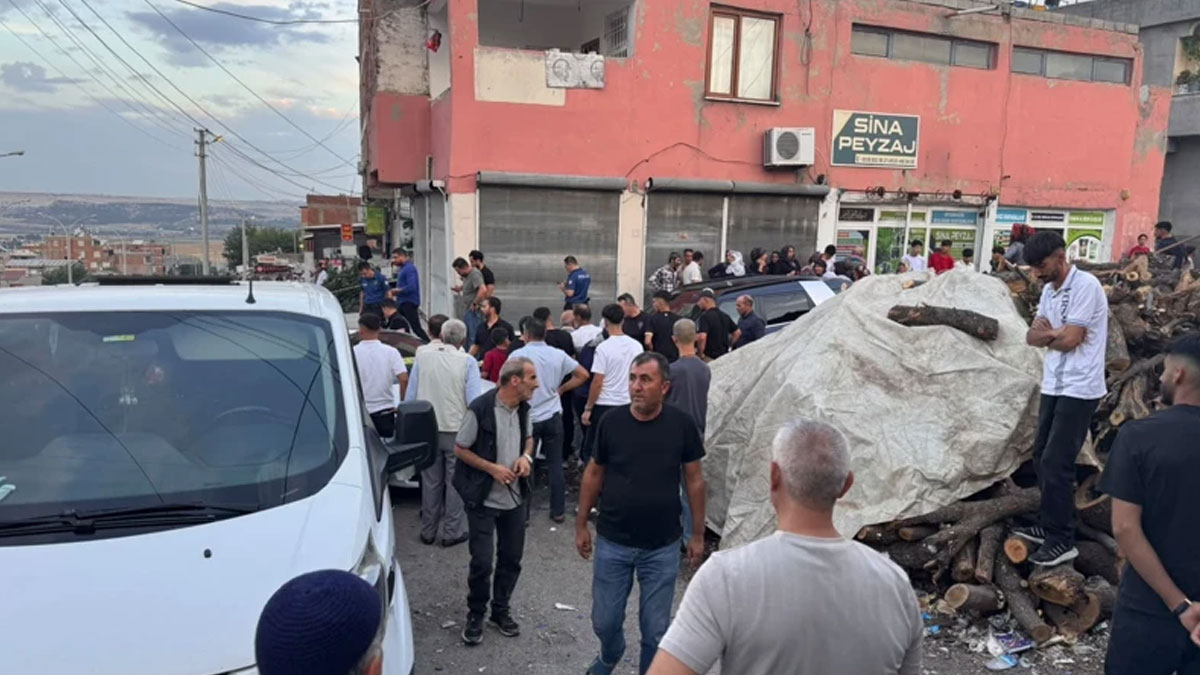 1kapakresim-1-kurtarildi-kopya.jpg