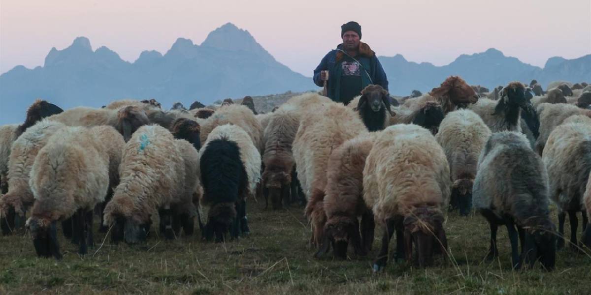 hakkaride-gocerlerin-donus-yolculugu-basladi-2.jpg
