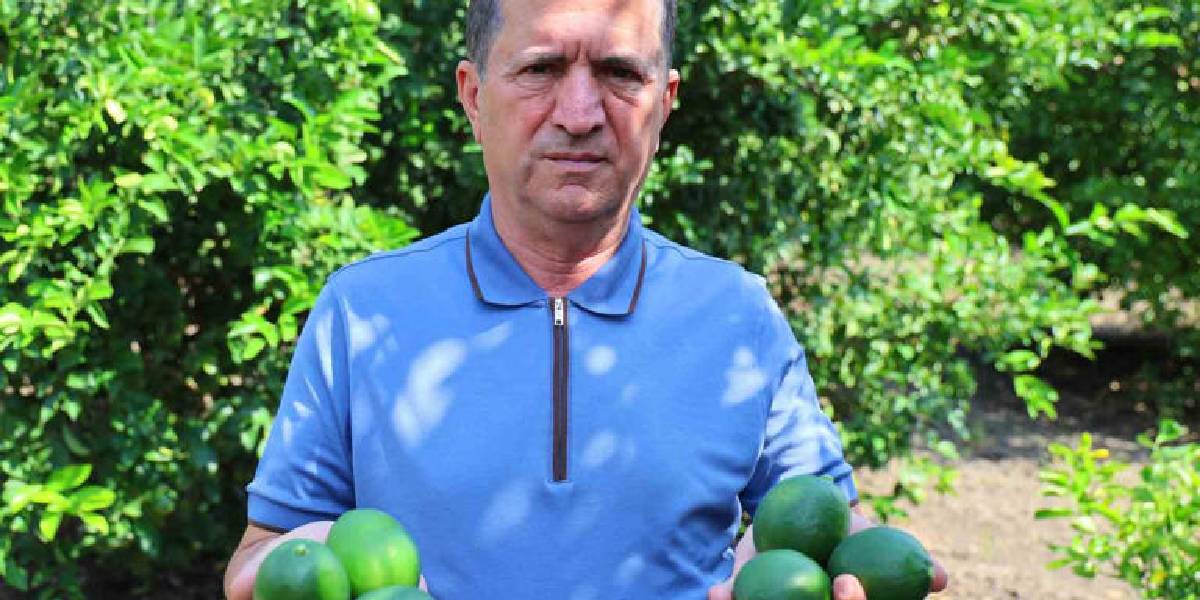 adanada-limon-hasadi-2.jpg