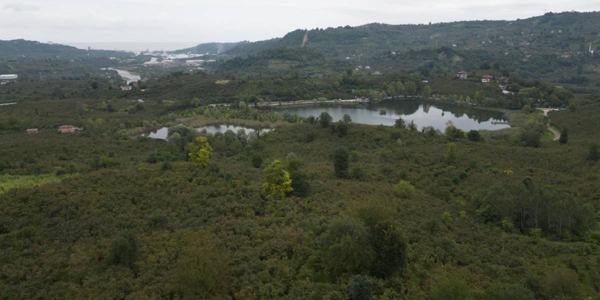 ordu-gaga-golu-2.jpg