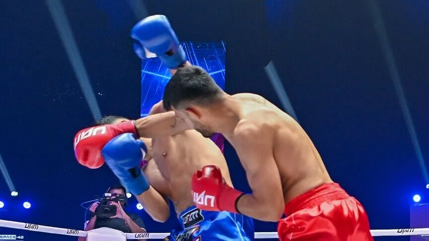 kickbox.webp