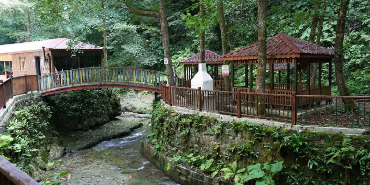 artvin-delikli-kaya-selalesi-2.jpg
