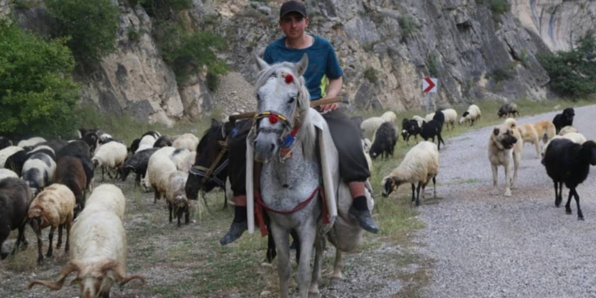 artvinde-goc-yolculugu-basladi-2.jpg