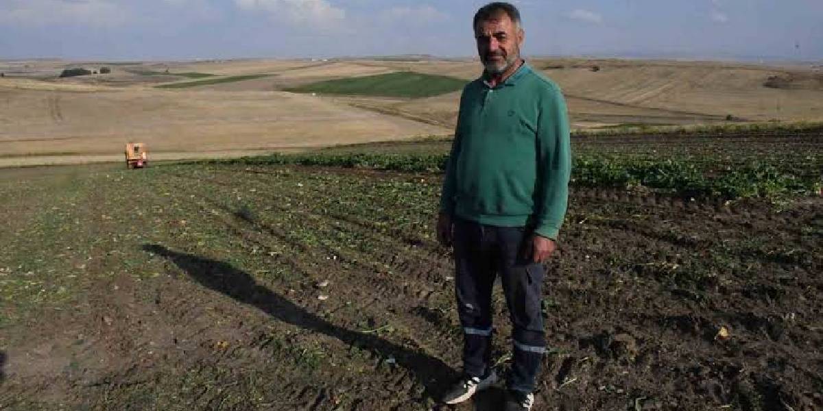 yozgatta-seker-pancari-hasadi-basladi-2.jpg