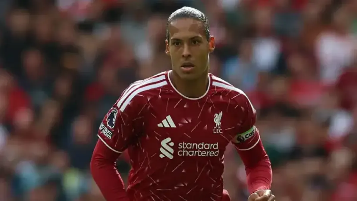 dijk2.webp