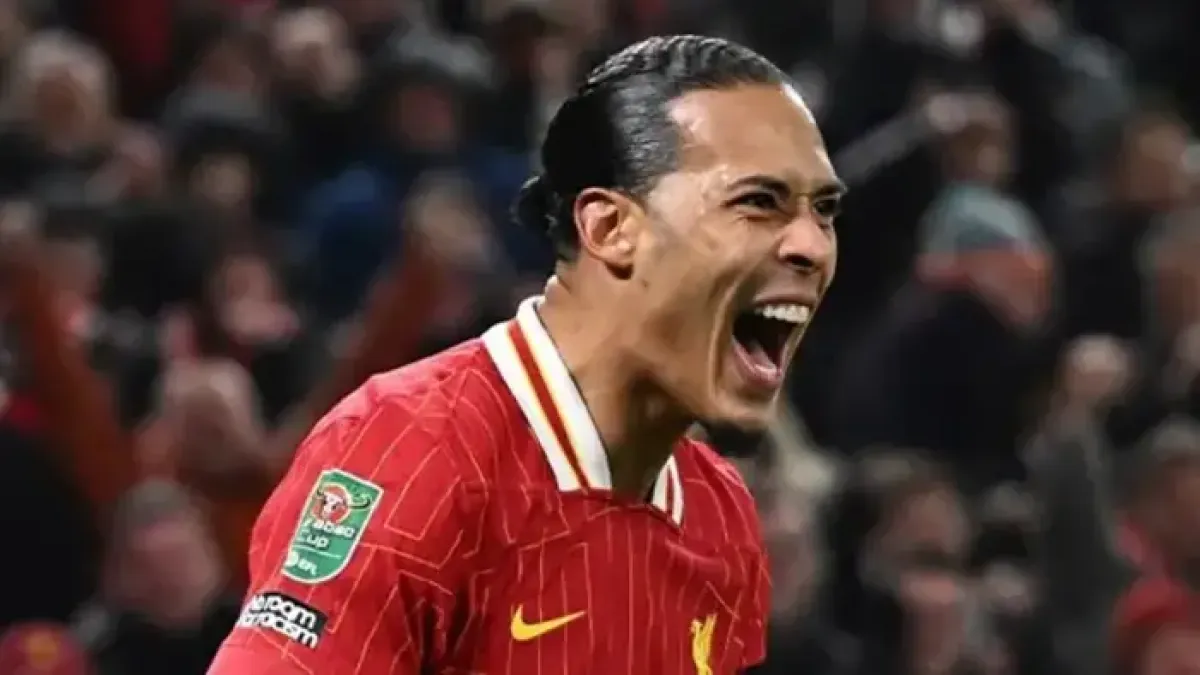 dijk3.webp