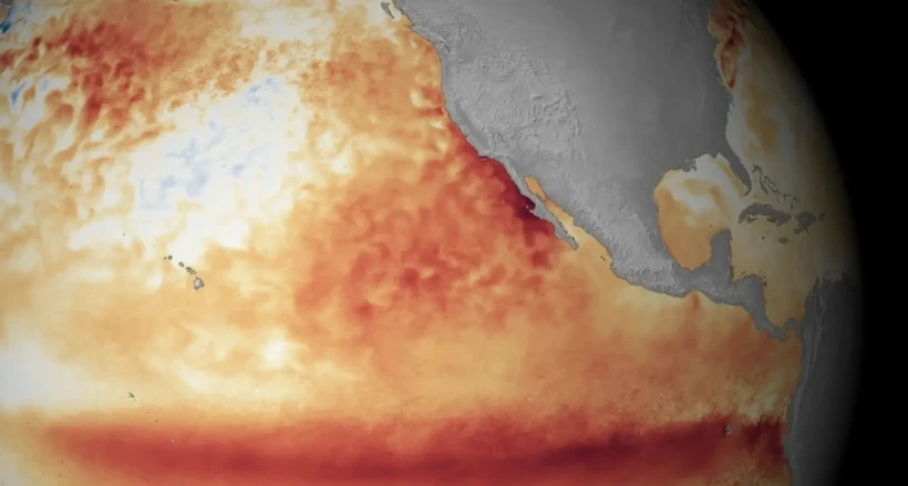 el-nino-wiph.webp