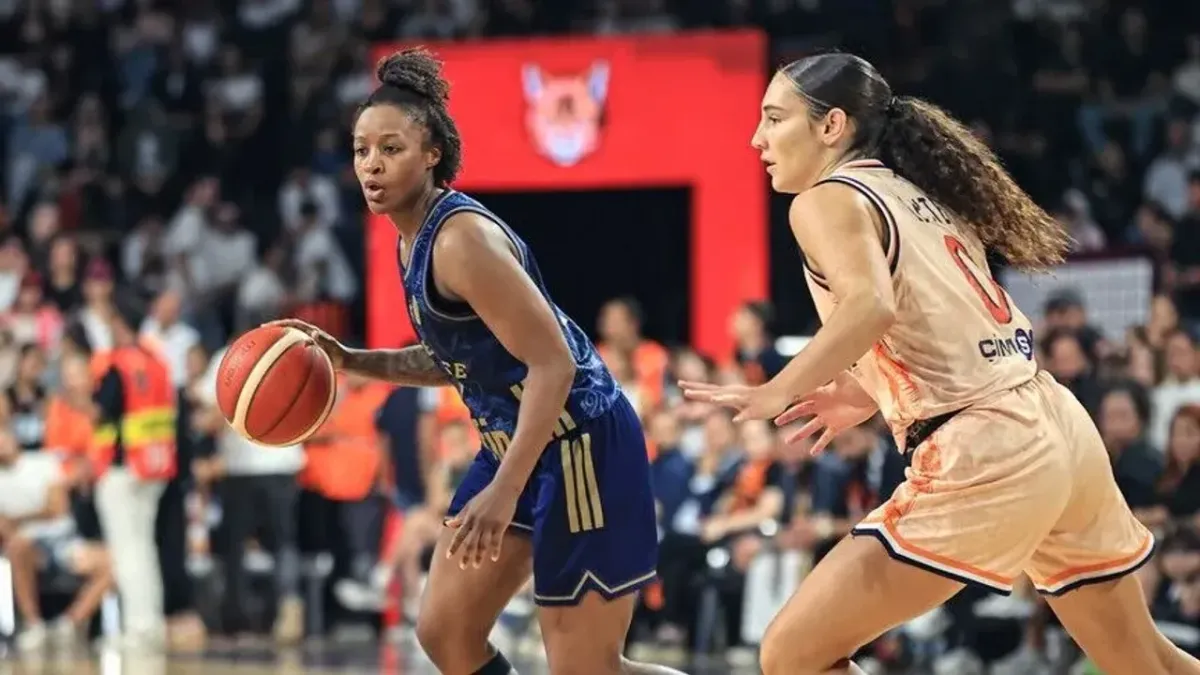 fiba3.webp