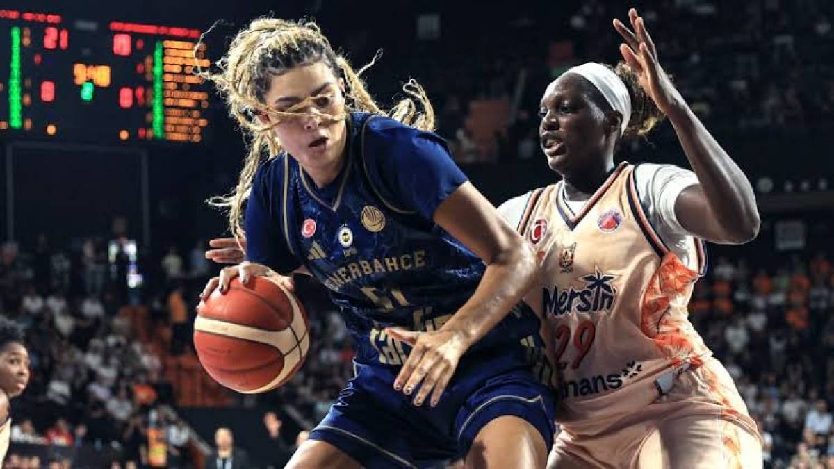 fiba4.jpg