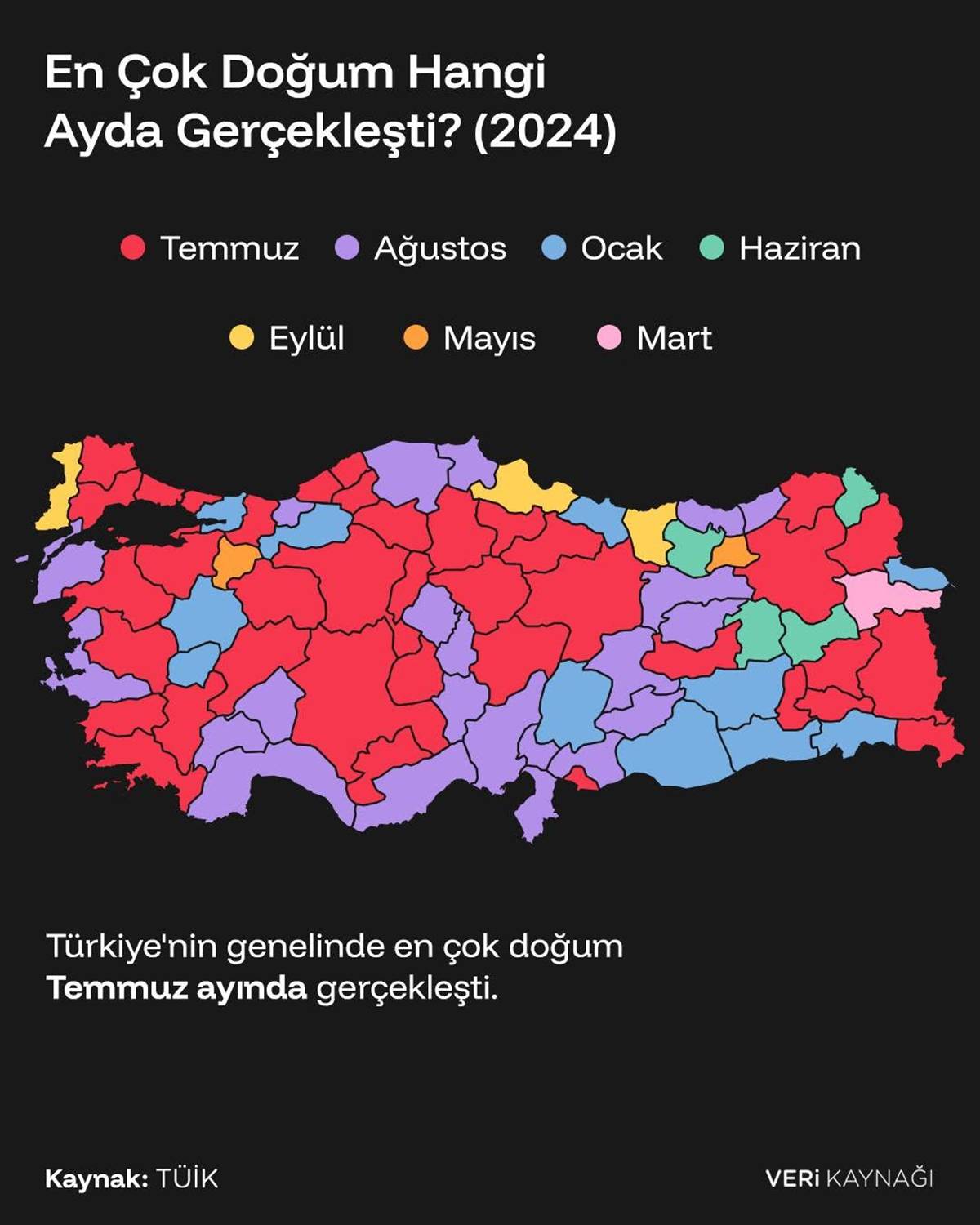 turkiyede-hangi-ayda-daha-cok-dogum-yapiliyor.jpg
