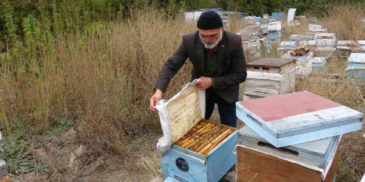 yozgatta-ari-hastaliklarina-kenevirli-cozum-2.jpg