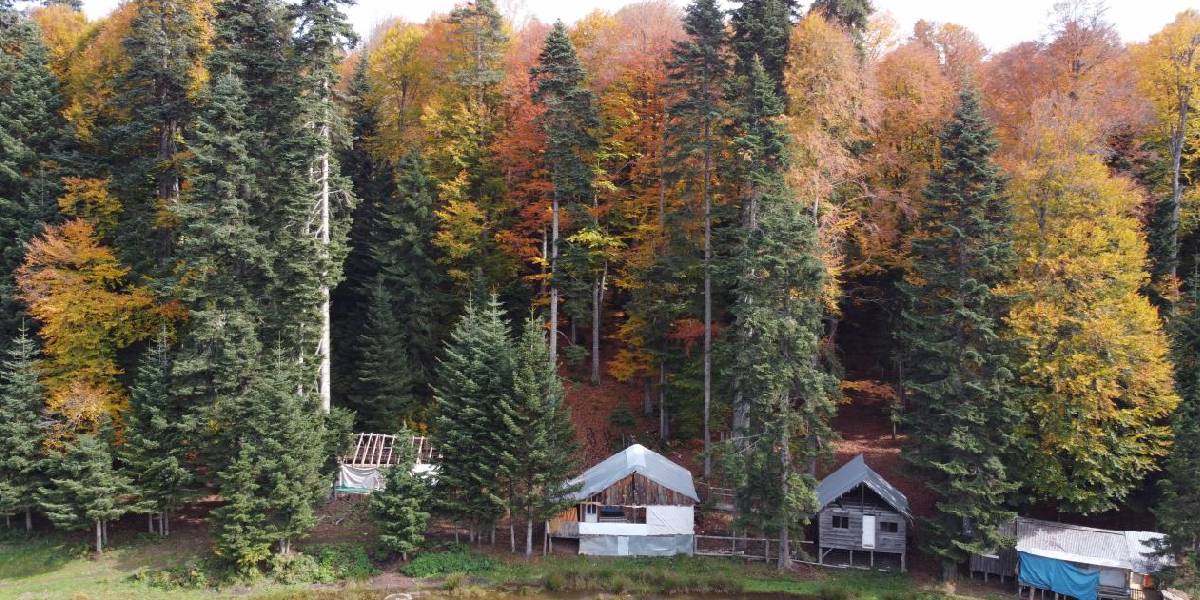 bolu-purenli-yaylasi.jpg