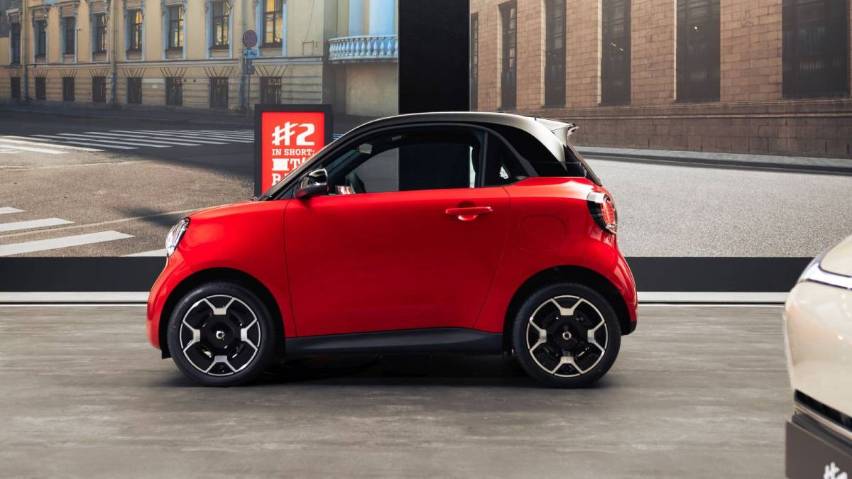 767678.jpeg