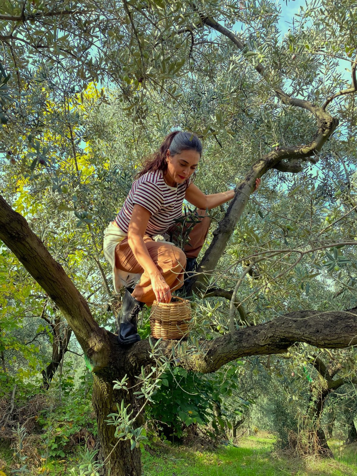 aslihan-gurbuz-zeytin-hasadi-1.jpg