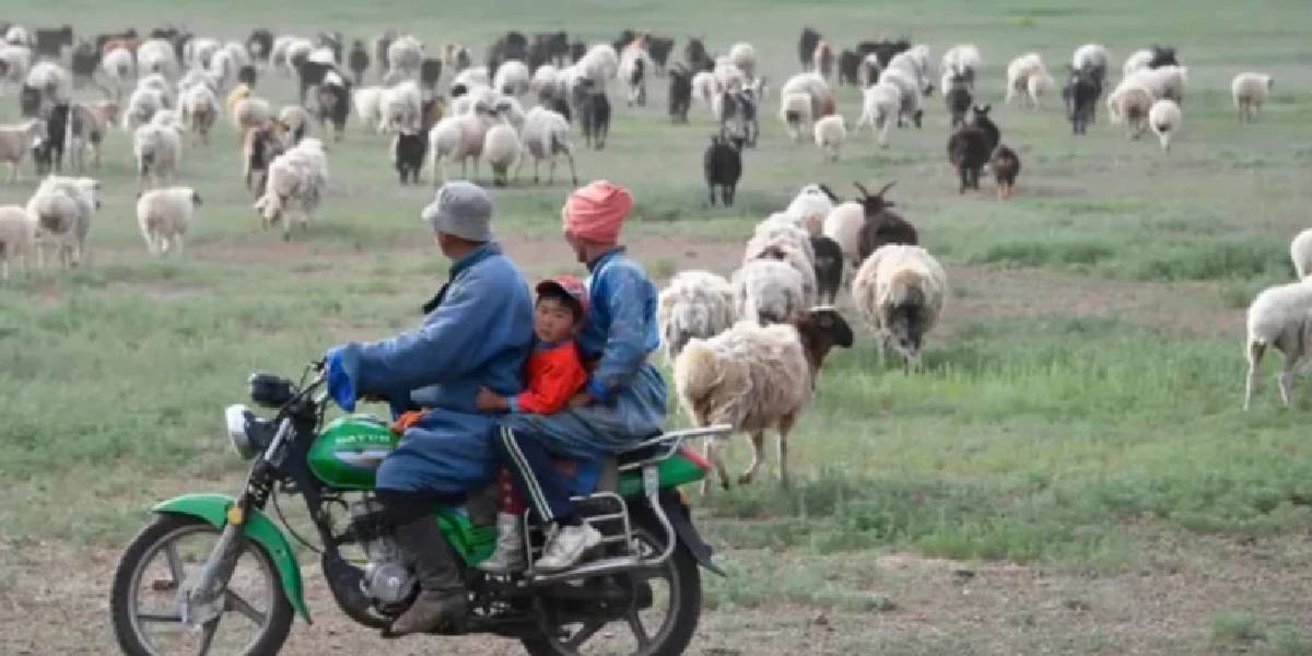 cinde-universite-mezunlari-coban-olmak-icin-yaristi-1.jpg