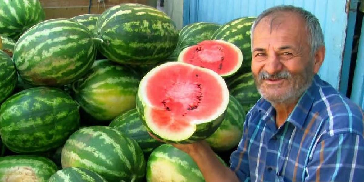 arabanda-guz-karpuzu-hasadi-basladi-1.jpg