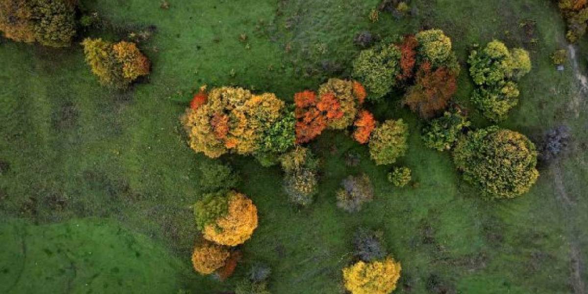 artvin-savsatta-sonbahar-1.jpg