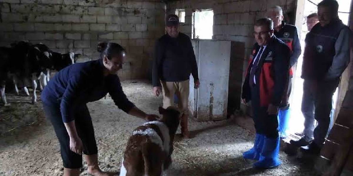 edirnede-hayvancilik-yapan-funda-filiz-1.jpg