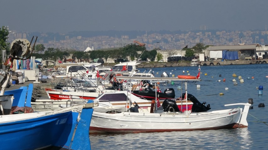 1-001.jpg