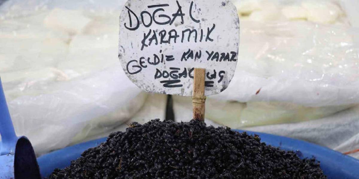 sivasta-karamuk-meyvesi-tezgahta-1.jpg