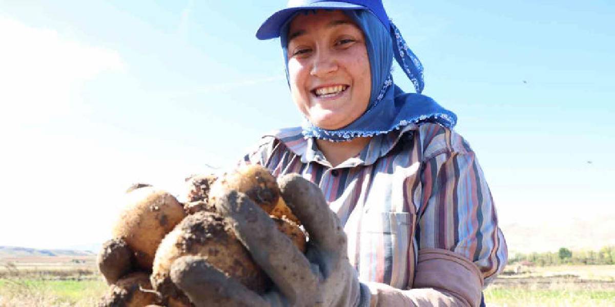 antalyada-granola-turu-patates-hasadi-1.jpg